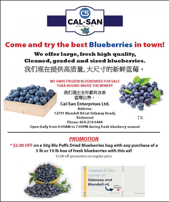 Large Farm Fresh Blueberries